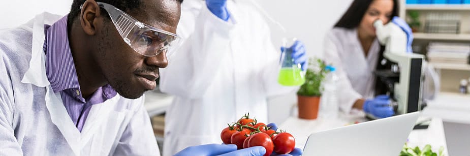 estudante de nutrição