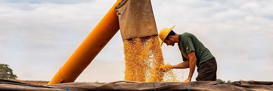 profissional de agronomia