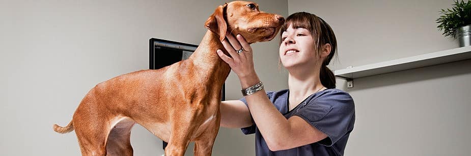 médica veterinária