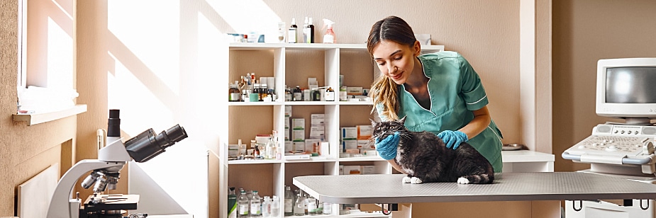 estagiária de medicina veterinária