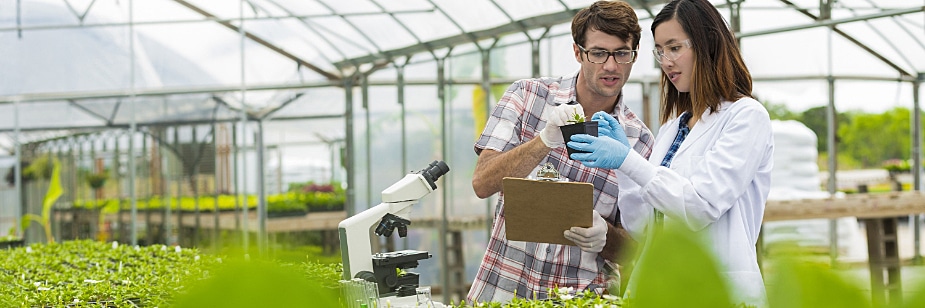 vestibular agronomia 2021