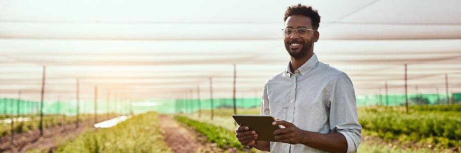 gestão ambiental grade curricular