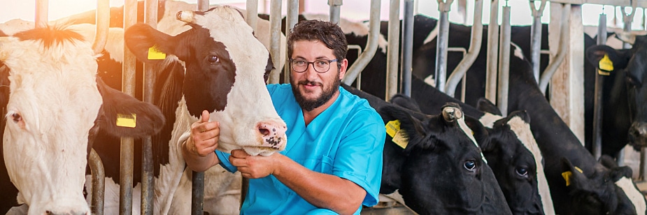 agronomia ou veterinária