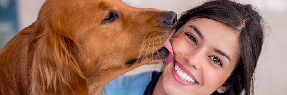 perfil medicina veterinária