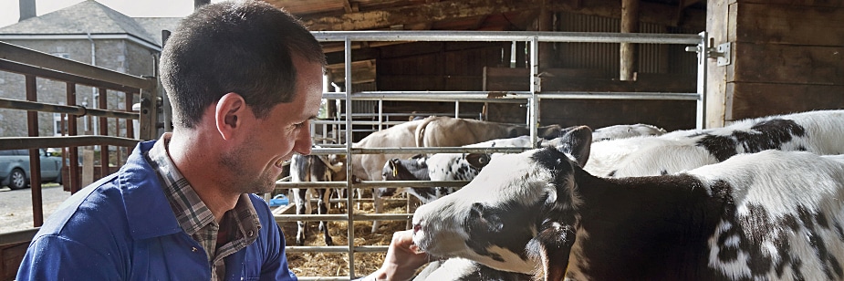 medicina veterinária zootecnia