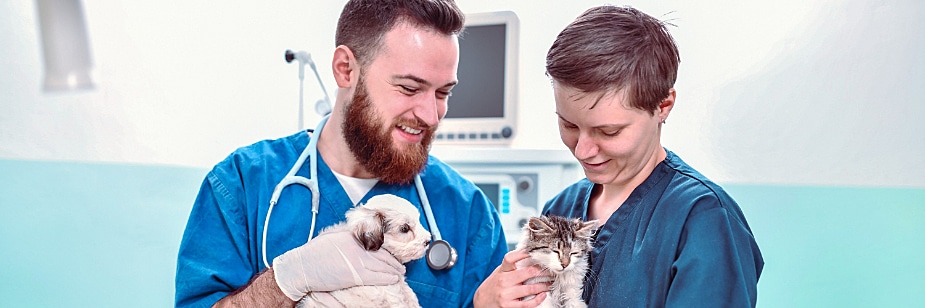 residência veterinária