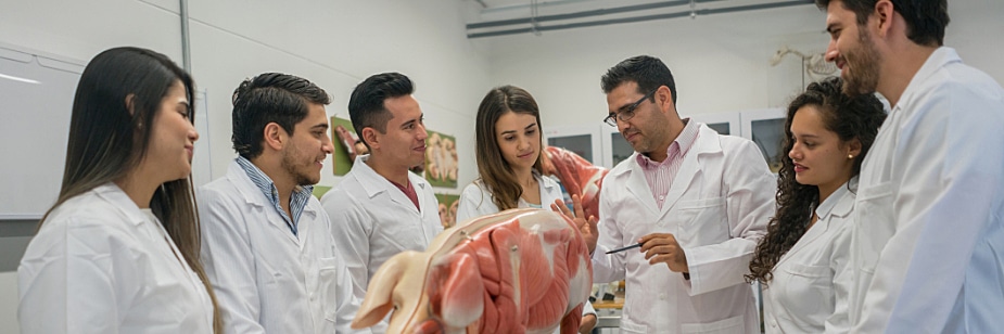melhores faculdades de medicina veterinária