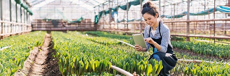 agronomia ou agronegócio