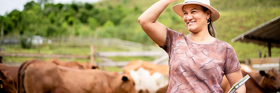 Grade curricular de Agronomia