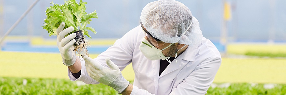 Faculdade de Biologia preço