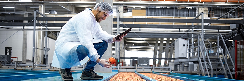 Faculdade de Gestão da Qualidade preço