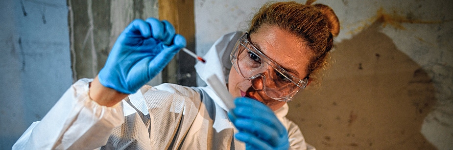 perito criminal salário