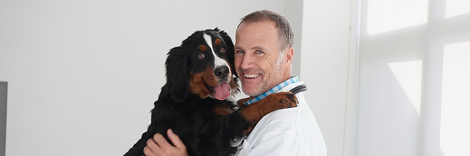 história da medicina veterinária