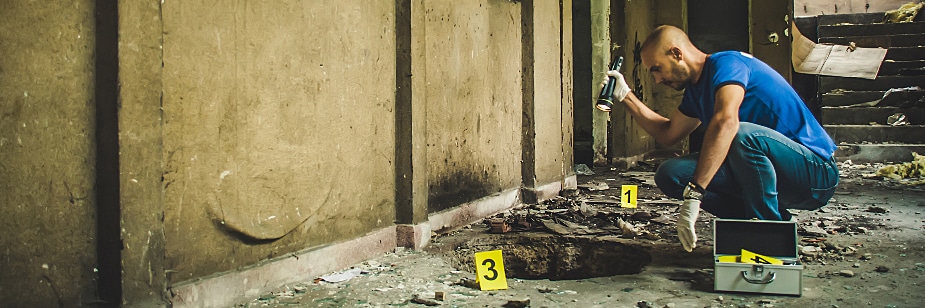 faculdade de perito criminal valor