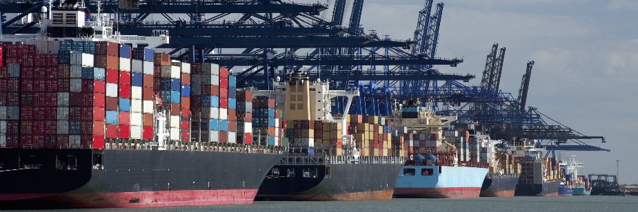 especialização em comércio exterior