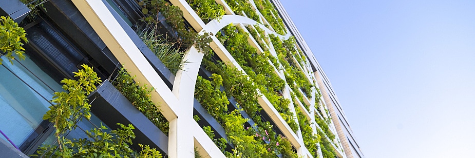 Arquitetura biofílica